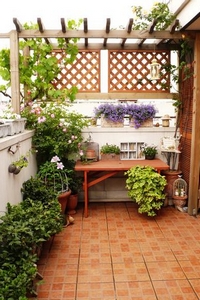 ��̨¶̨��԰����